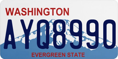 WA license plate AYQ8990