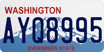 WA license plate AYQ8995