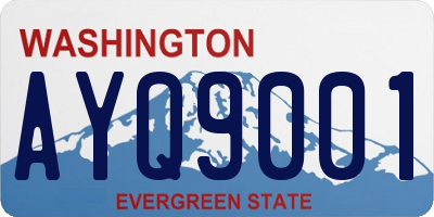 WA license plate AYQ9001