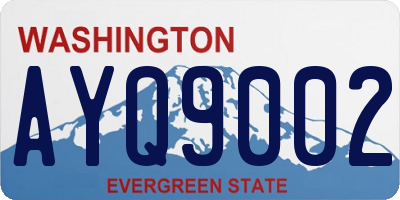 WA license plate AYQ9002