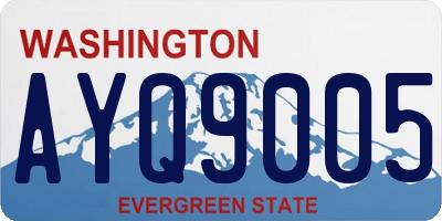WA license plate AYQ9005