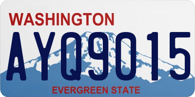 WA license plate AYQ9015