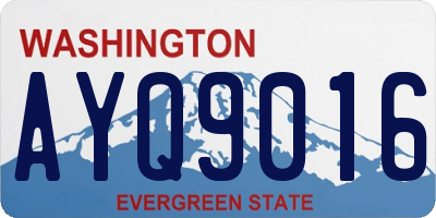 WA license plate AYQ9016