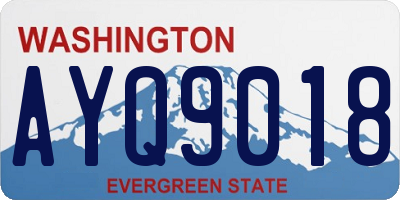 WA license plate AYQ9018