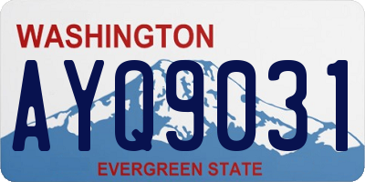 WA license plate AYQ9031