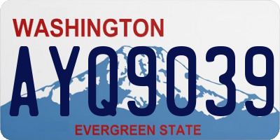 WA license plate AYQ9039