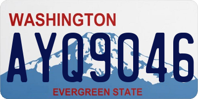 WA license plate AYQ9046
