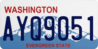 WA license plate AYQ9051