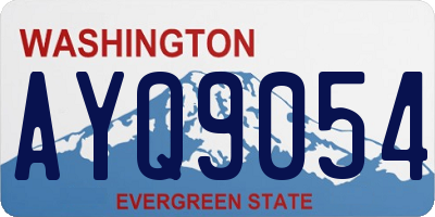 WA license plate AYQ9054