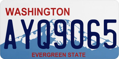 WA license plate AYQ9065