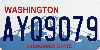 WA license plate AYQ9079