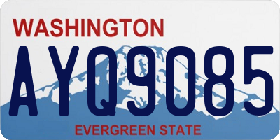WA license plate AYQ9085