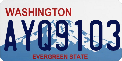 WA license plate AYQ9103