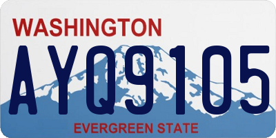 WA license plate AYQ9105