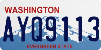 WA license plate AYQ9113