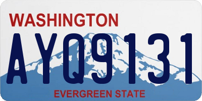 WA license plate AYQ9131