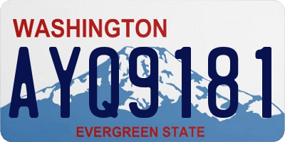WA license plate AYQ9181