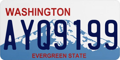 WA license plate AYQ9199