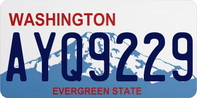 WA license plate AYQ9229