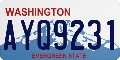 WA license plate AYQ9231