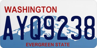 WA license plate AYQ9238
