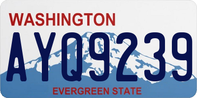 WA license plate AYQ9239