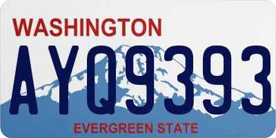 WA license plate AYQ9393