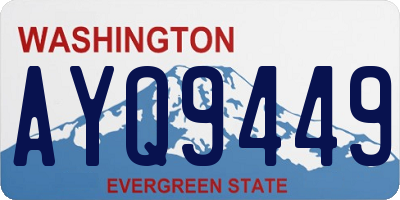 WA license plate AYQ9449