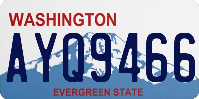 WA license plate AYQ9466