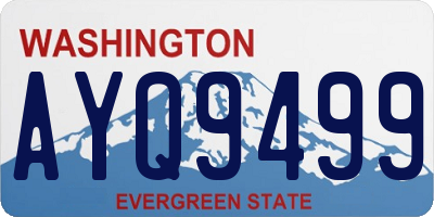 WA license plate AYQ9499