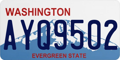 WA license plate AYQ9502