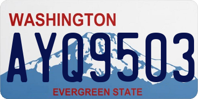 WA license plate AYQ9503