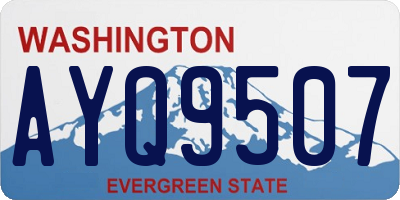 WA license plate AYQ9507