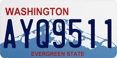 WA license plate AYQ9511