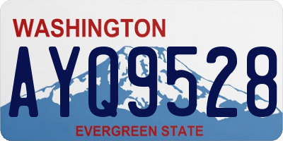 WA license plate AYQ9528