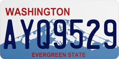 WA license plate AYQ9529