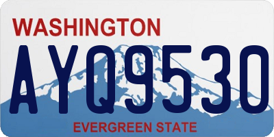 WA license plate AYQ9530