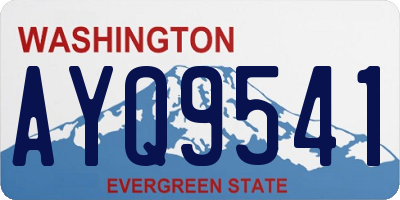 WA license plate AYQ9541
