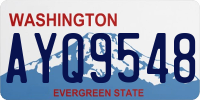 WA license plate AYQ9548