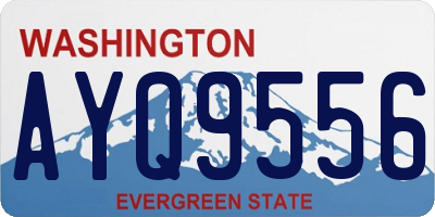 WA license plate AYQ9556