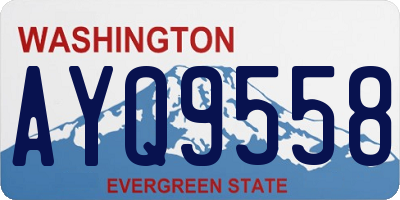 WA license plate AYQ9558