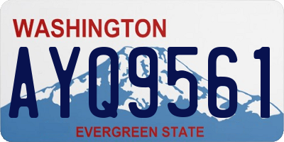WA license plate AYQ9561
