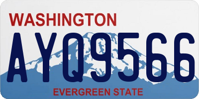 WA license plate AYQ9566