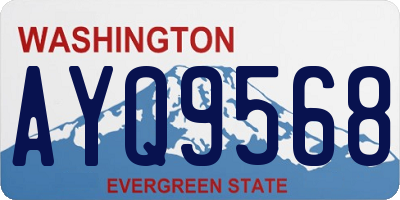WA license plate AYQ9568