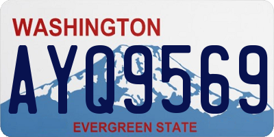 WA license plate AYQ9569