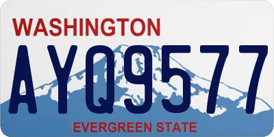 WA license plate AYQ9577