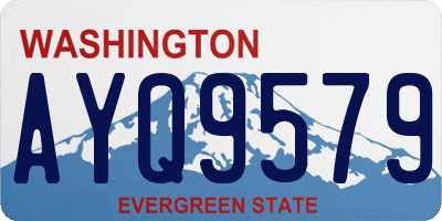 WA license plate AYQ9579