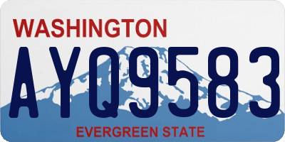 WA license plate AYQ9583