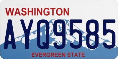 WA license plate AYQ9585