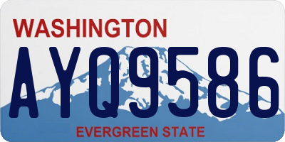WA license plate AYQ9586
